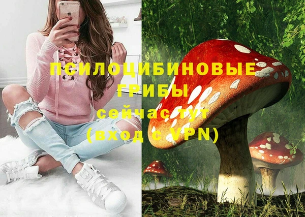 стафф Заволжье