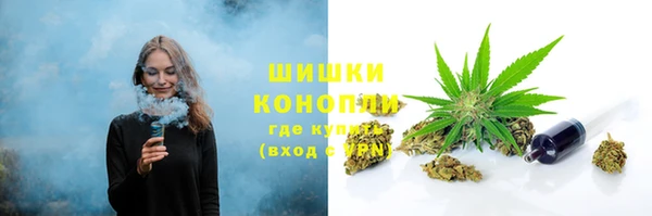 дживик Заводоуковск