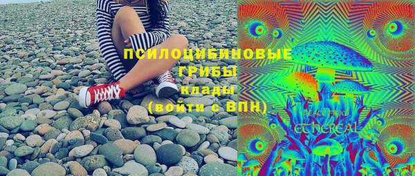 дживик Заводоуковск