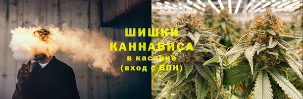 стафф Заволжье