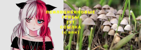 дживик Заводоуковск