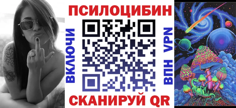 Галлюциногенные грибы мицелий  Купить где  Ивангород 